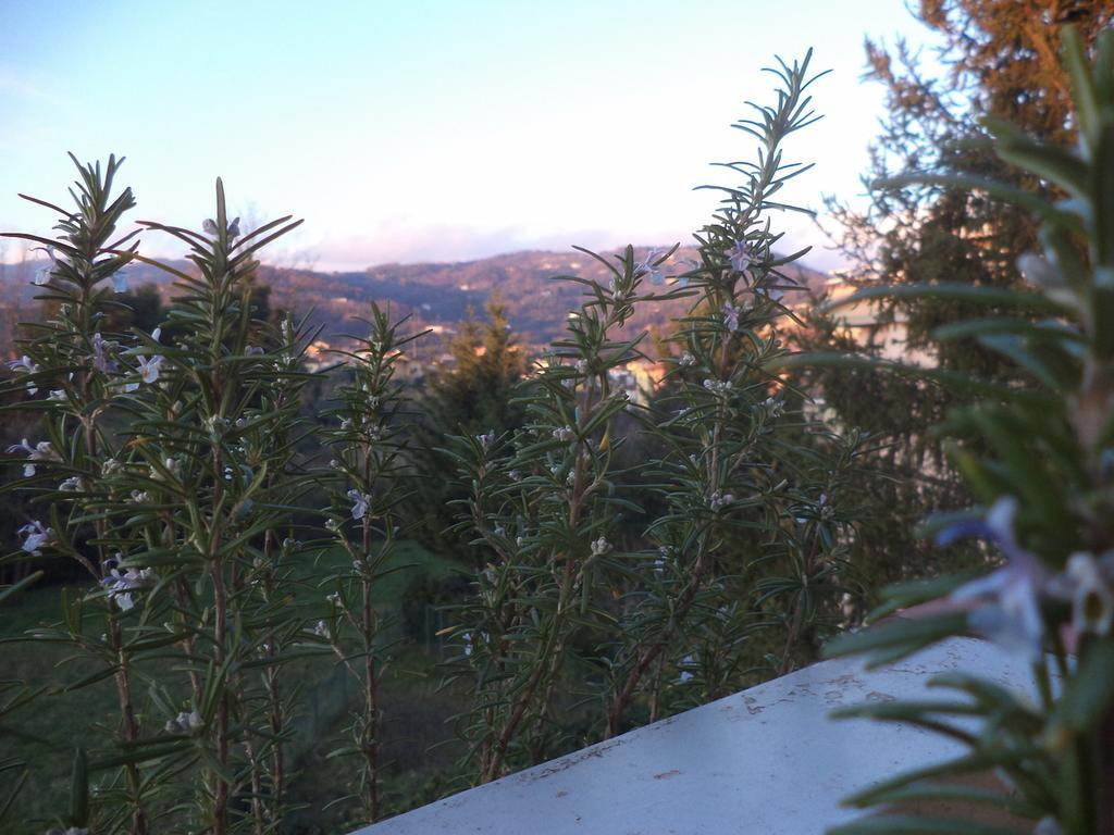 Apartment Montecatini-Terme Near Firenze, Lucca, Pisa 部屋 写真