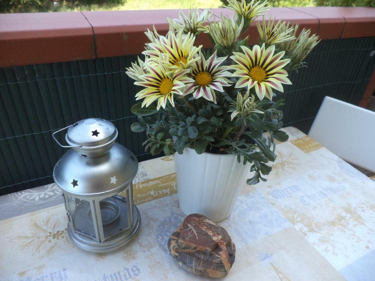 Apartment Montecatini-Terme Near Firenze, Lucca, Pisa エクステリア 写真