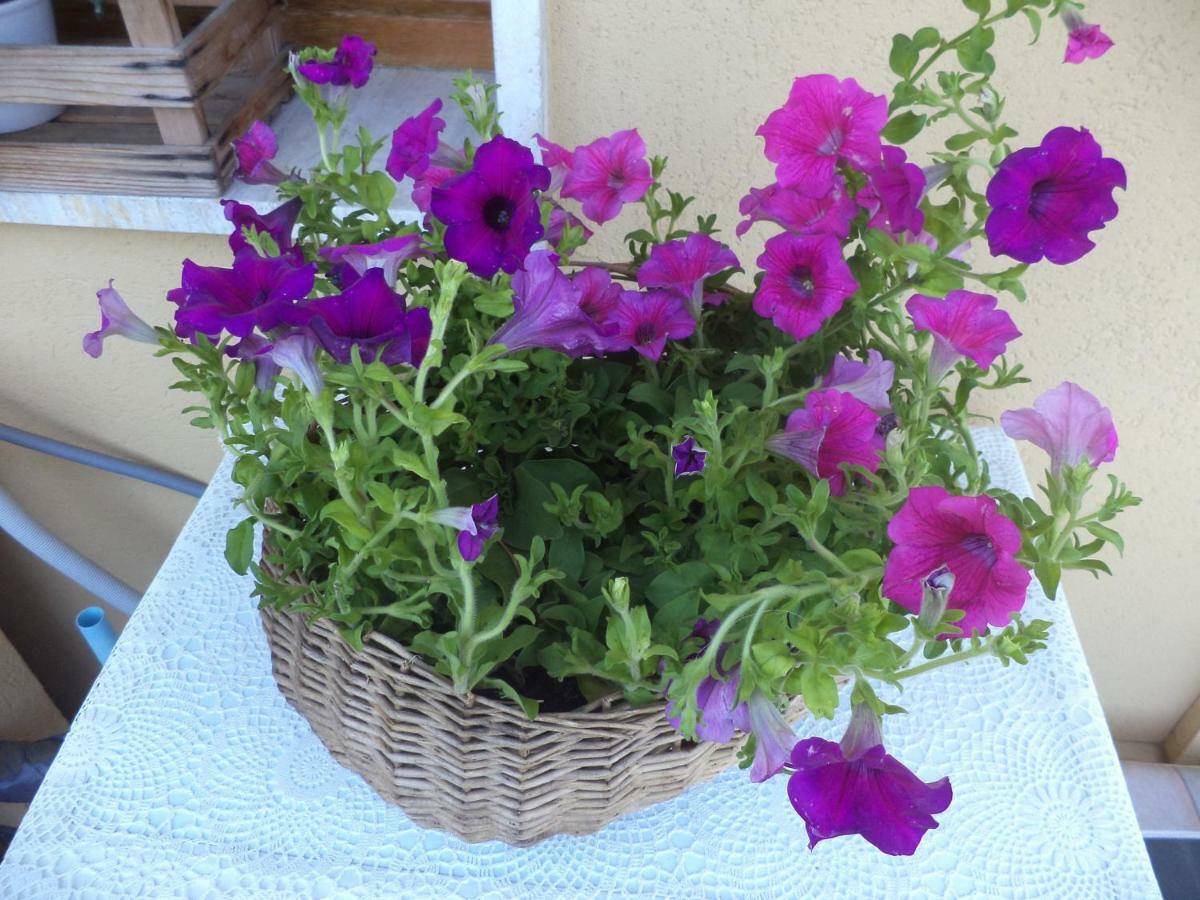 Apartment Montecatini-Terme Near Firenze, Lucca, Pisa エクステリア 写真